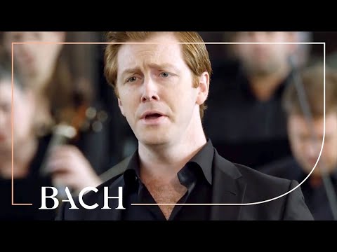 Bach - Matthäus-Passion BWV 244 - Van Veldhoven | Nederlandse Bachvereniging