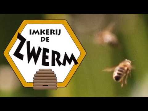 Biologie - van nectar tot honing - Imkerij de Zwerm