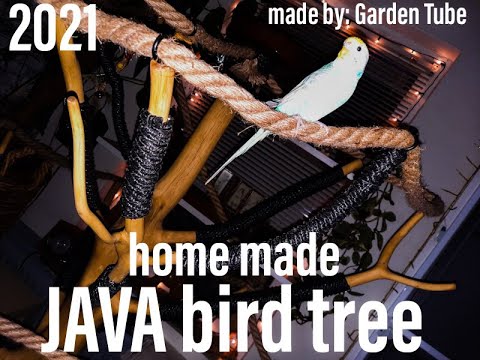 Grote Java Speelboom / Klimboom Maken Van Verse Eiken Bos Hout / Voor Parkieten & Papagaaien