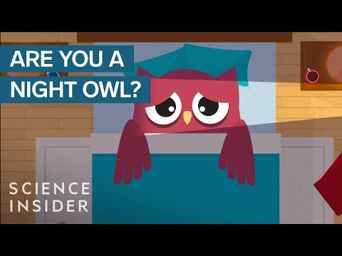 What Happens When A Night Owl Wakes Up Early