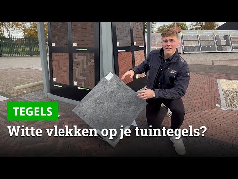 Witte vlekken op je tegels | Wat is kalkuitbloei? - Bestratingsweb.nl